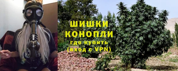 трава Аркадак
