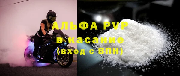 стафф Покачи