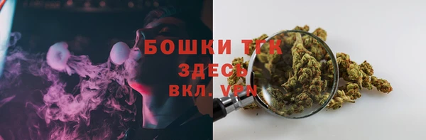 трава Аркадак