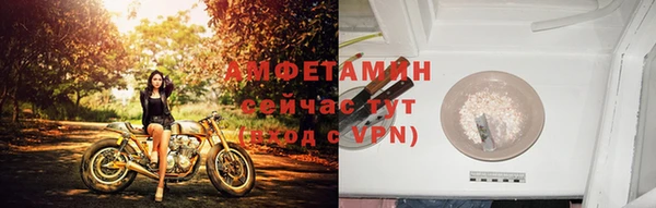 трава Аркадак