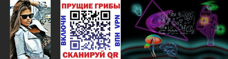 Псилоцибиновые грибы Psilocybe  где продают наркотики  МЕГА ONION  Фролово 